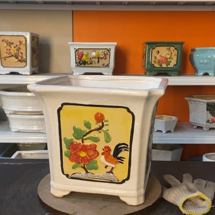 红陶西***_花盆里的小猫咪