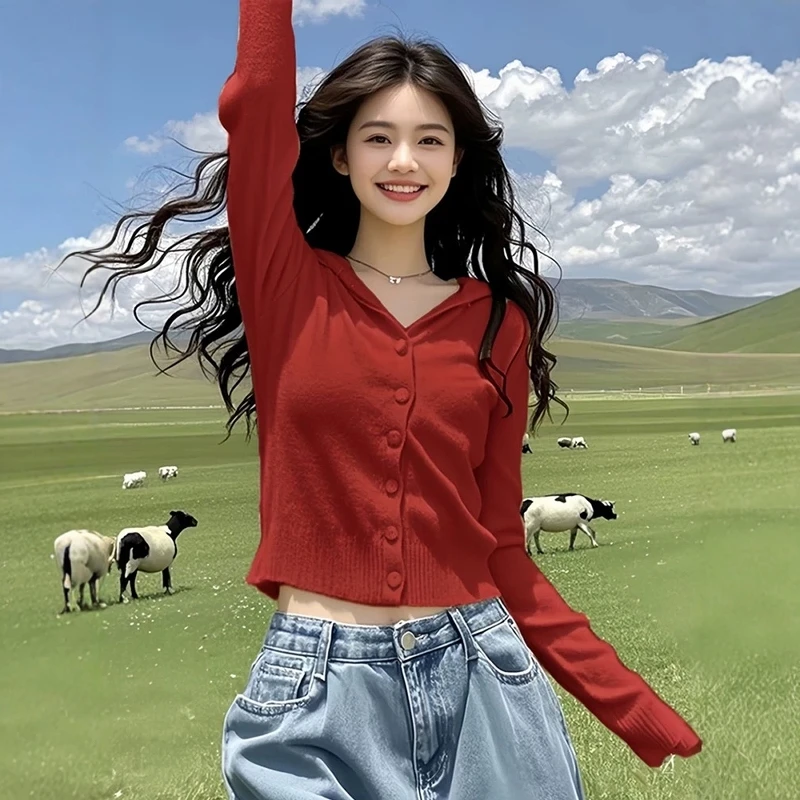 秋冬洋气女装网红小众连帽针织开衫秋季外穿打底毛衣内搭短款上衣