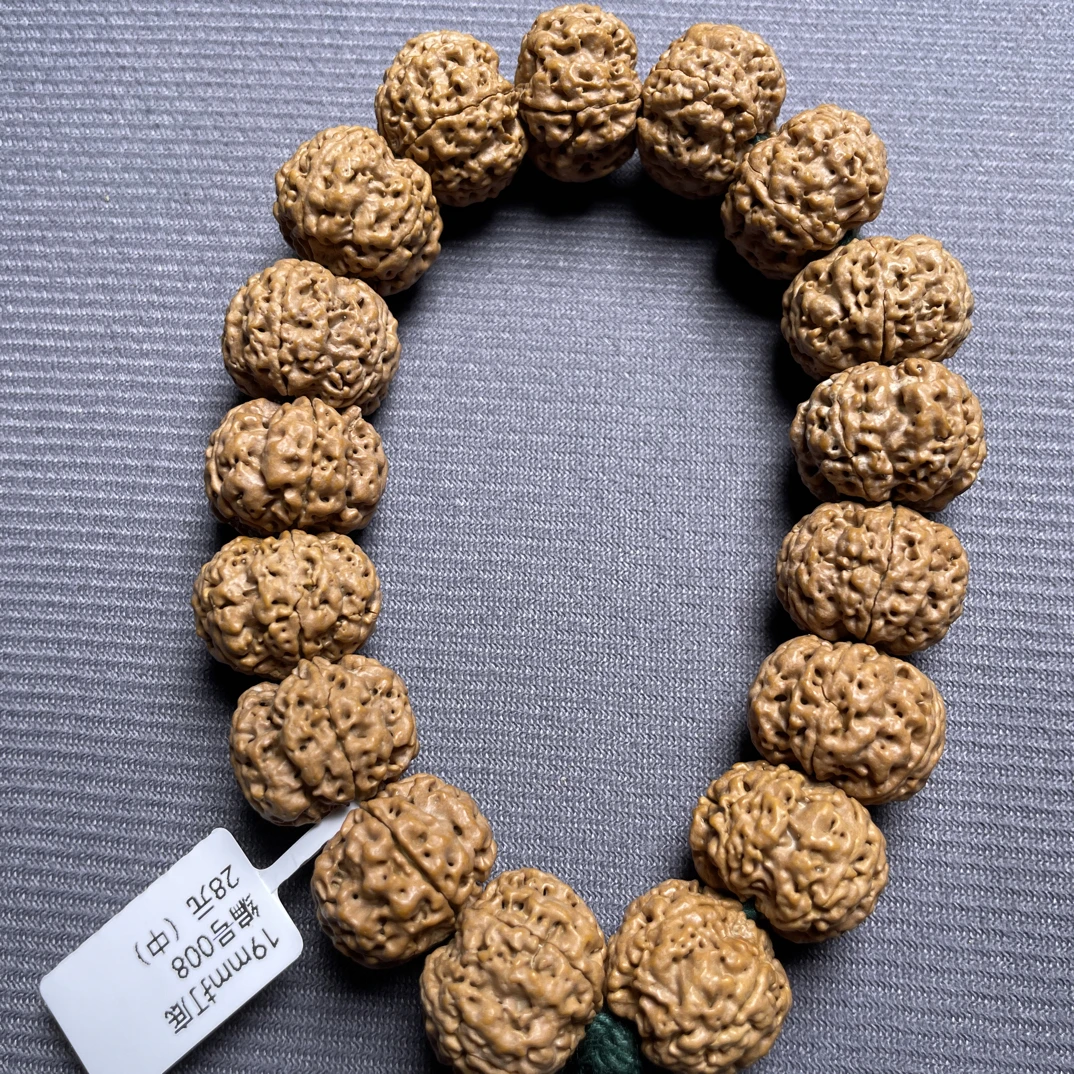 19mm蜂王已打底（中）编号008 金刚菩提
