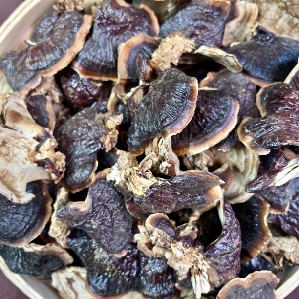 【雯姐批发】正宗金边芝芝菌菇250g 菌味浓郁煲汤煲水
