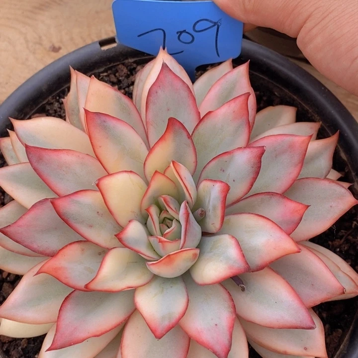 这个我就很难相信