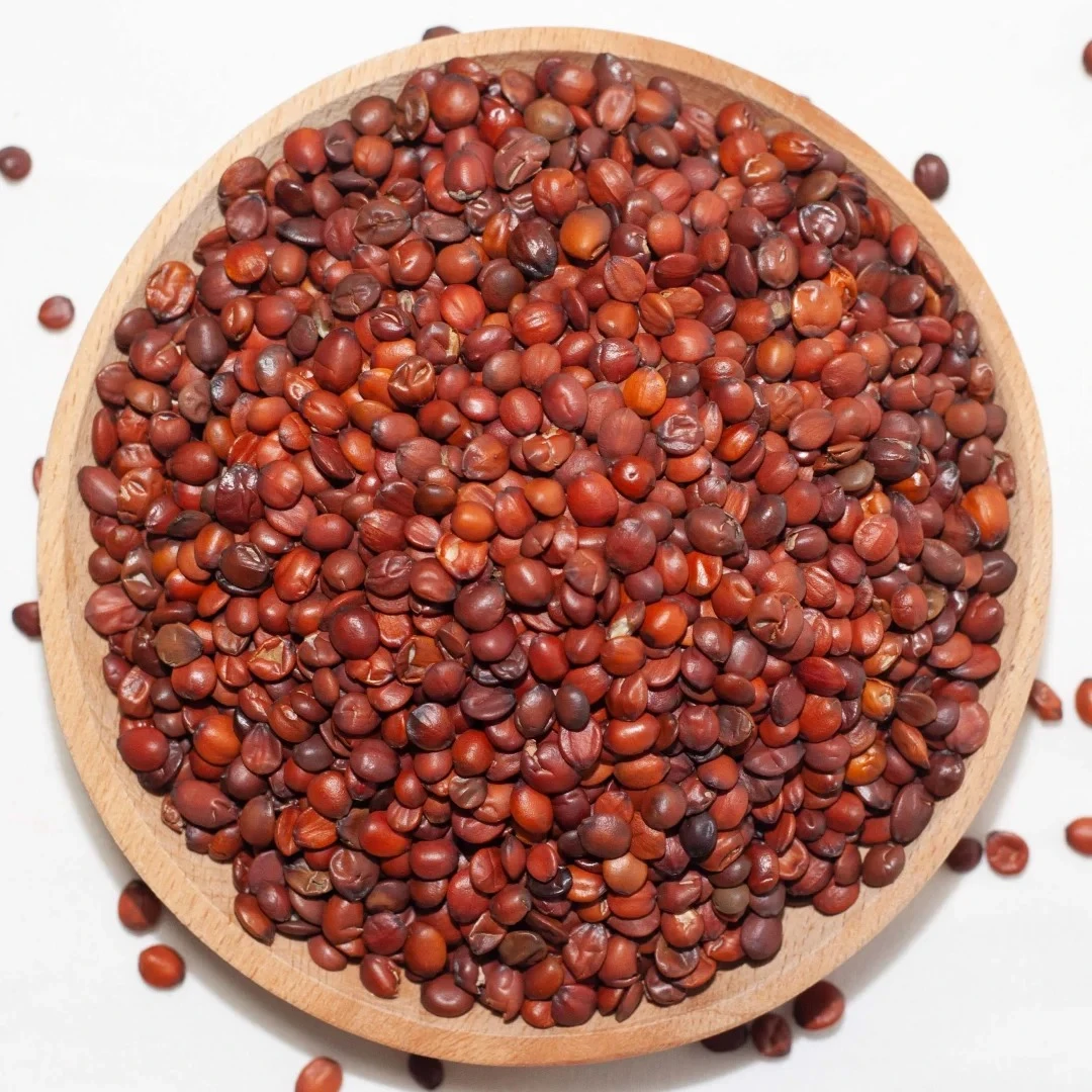 酸枣仁-云南高山-自然无添加（涵涵山货）