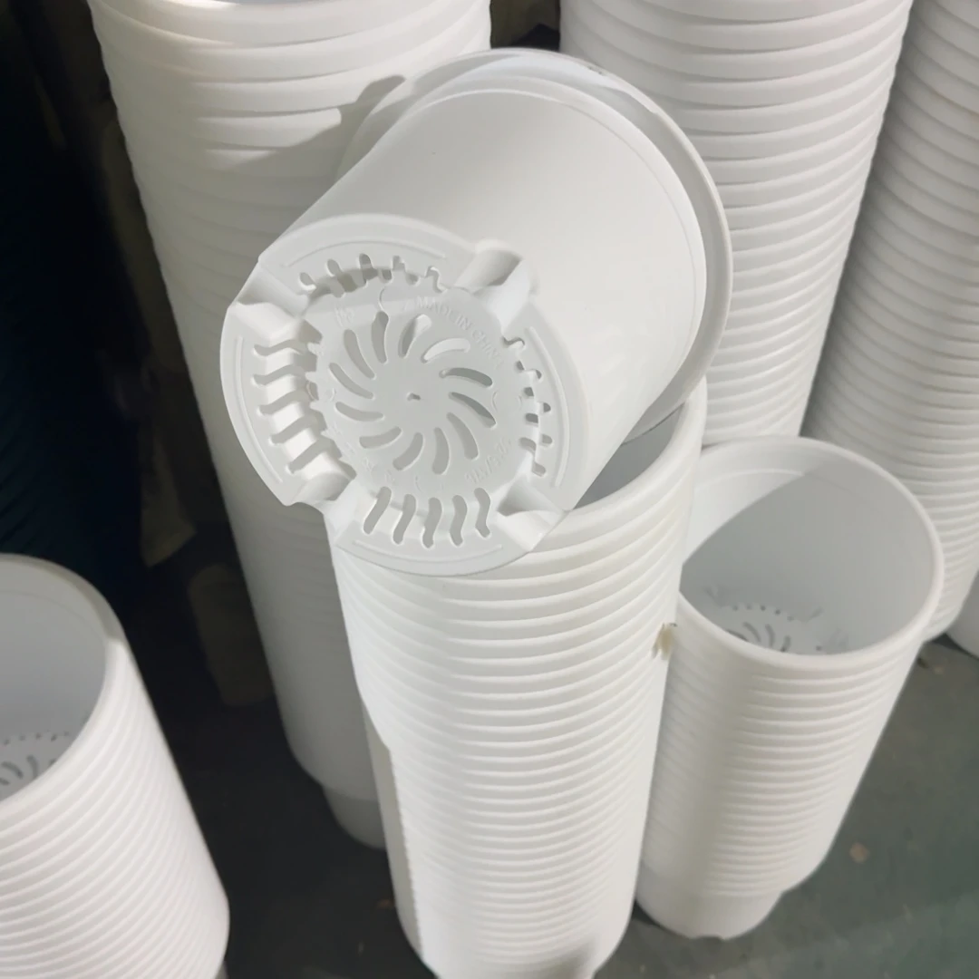 四季3号10个白色的