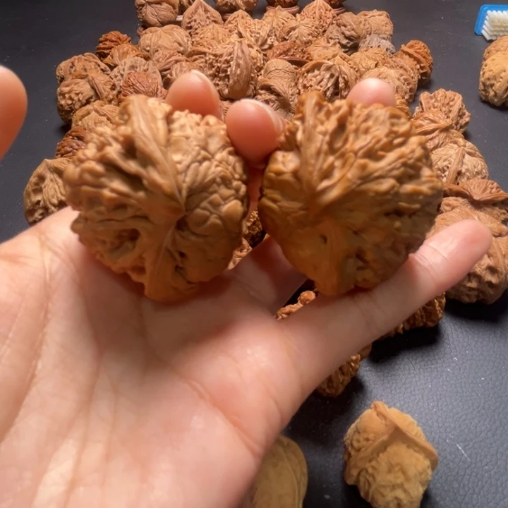 全品官帽蛇头41尺寸核桃哈哈哈哈哈哈哈哈