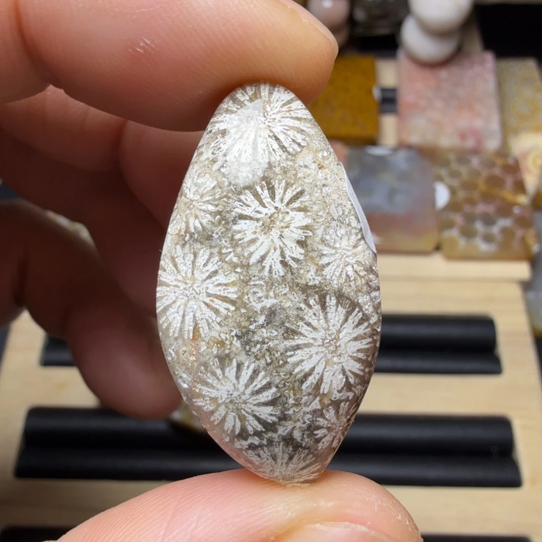 硅化玉未镶嵌纯天然色有机玉石保真色