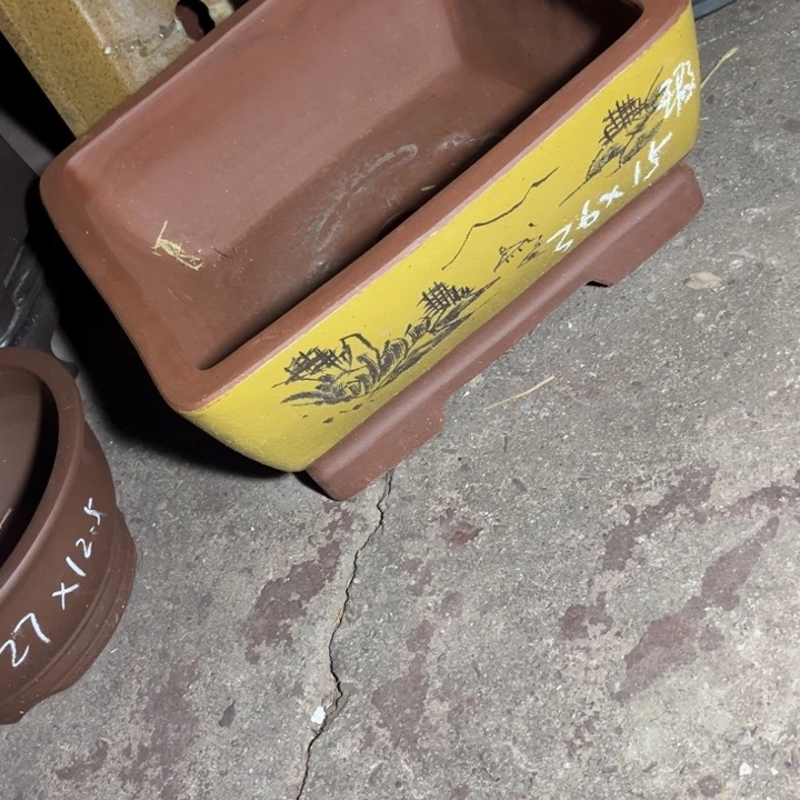 紫砂花盆紫砂花开