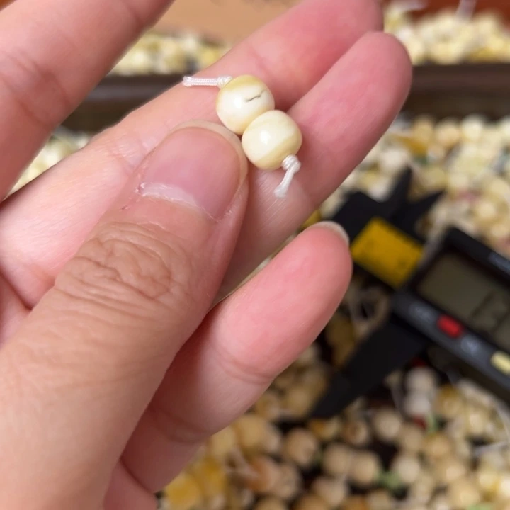 蜜蜡未镶嵌裸石8mm一对