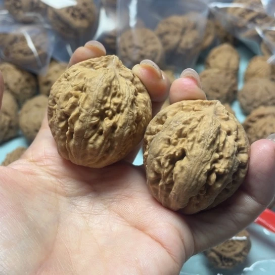 南***星吊坠文玩核桃霸王龙62