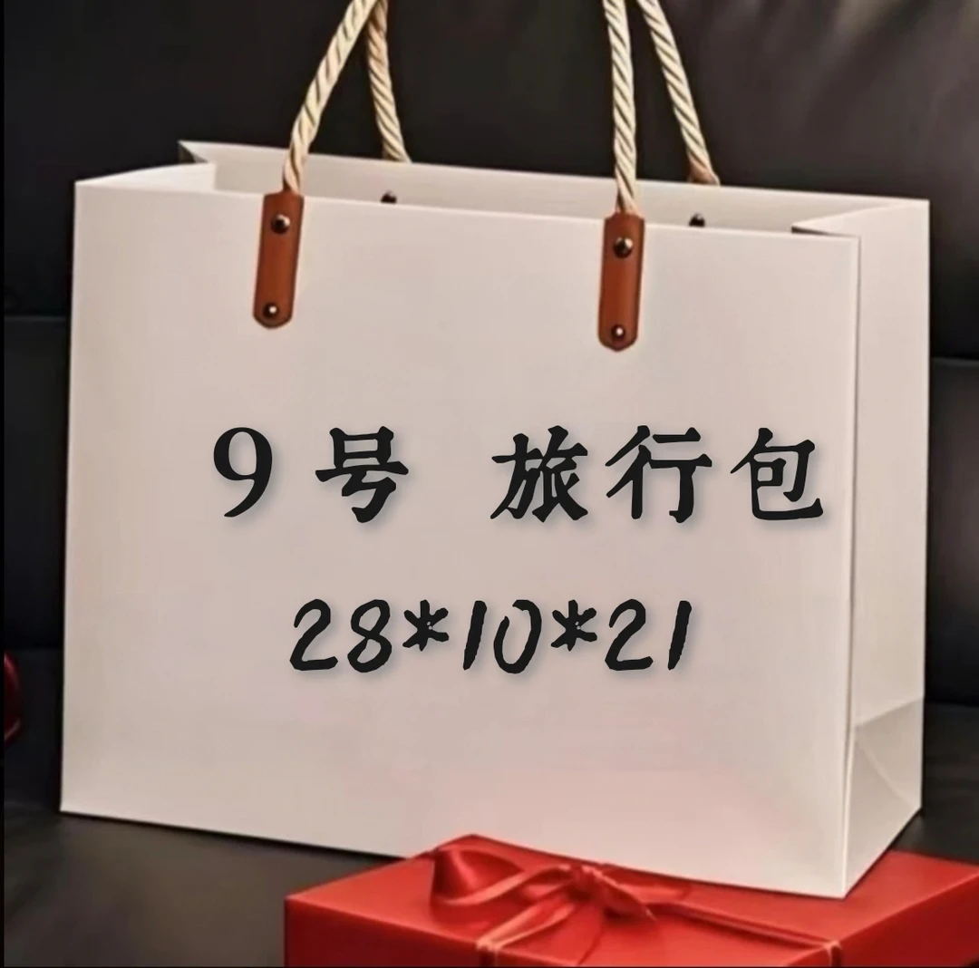 Y 009号 女士时尚百搭休闲通勤简约单肩旅行包 A6572-1