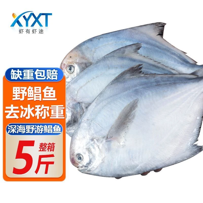 新鲜速冻深海鲳鱼银鲳鱼白鲳鱼平鱼东海连云港野生品质刺少肉嫩5斤一斤6条