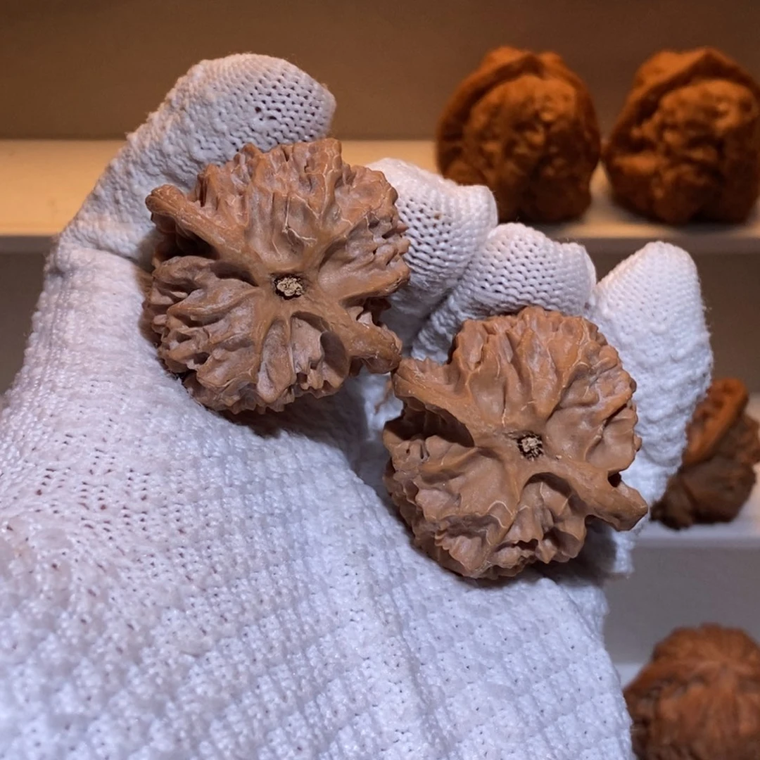 登***高39尺 全品无修白茬 十字底 苹果园