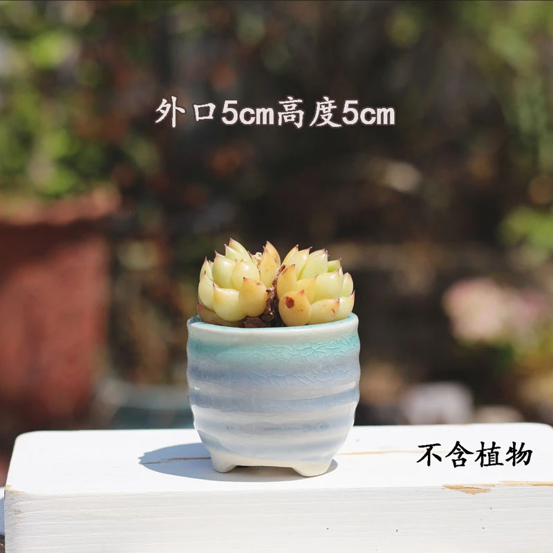 多肉陶瓷花盆冰裂流釉个性简约窑变创意桌面透气装饰