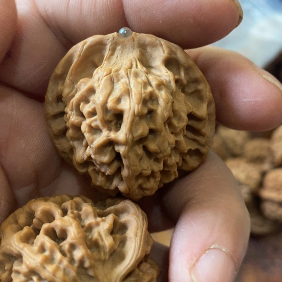 明**好秦岭南侧与黄河北岸之间