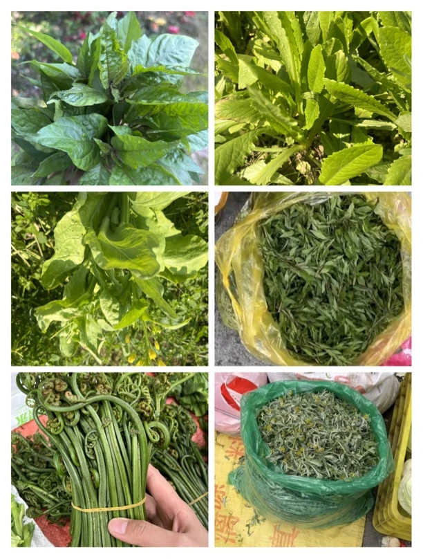 桂林农家山货鲜菜代购赶集优选