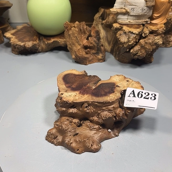 用***1大果紫檀（缅甸花梨）