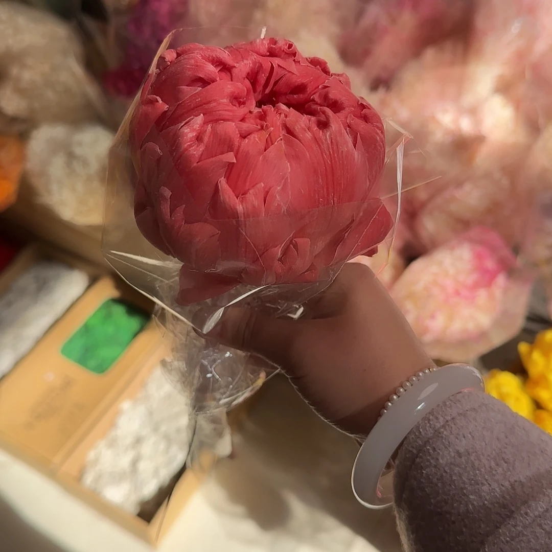 K17号桃粉洋蓟1枝