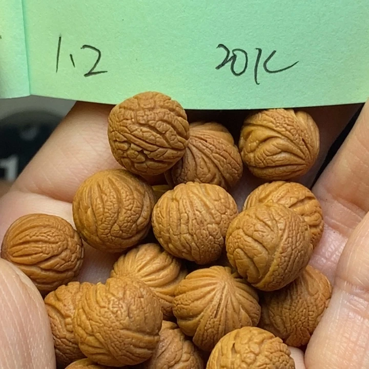 吊坠桃核秦岭龙纹桃核12尺寸