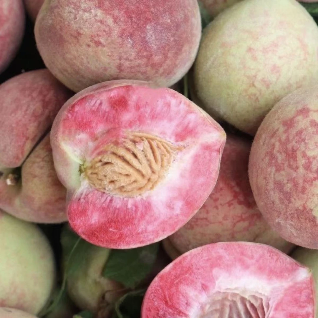 贵州特产正宗高原百花桃，现摘现发