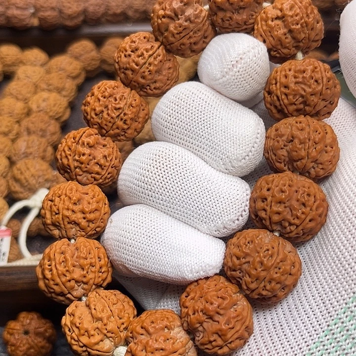 手串龙脊菩提金刚菩提21+梁梅花