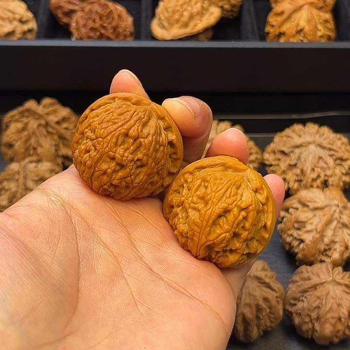 核桃秦岭突突突突突突46