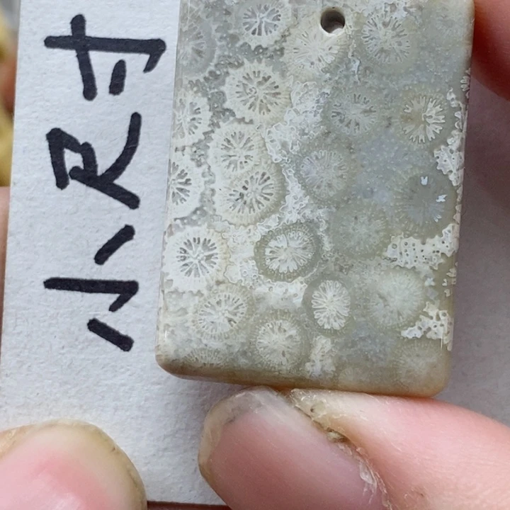 颈饰未镶嵌硅化珊瑚（珊瑚玉）