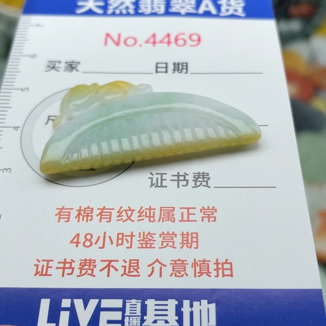翡翠未镶嵌挂件4469