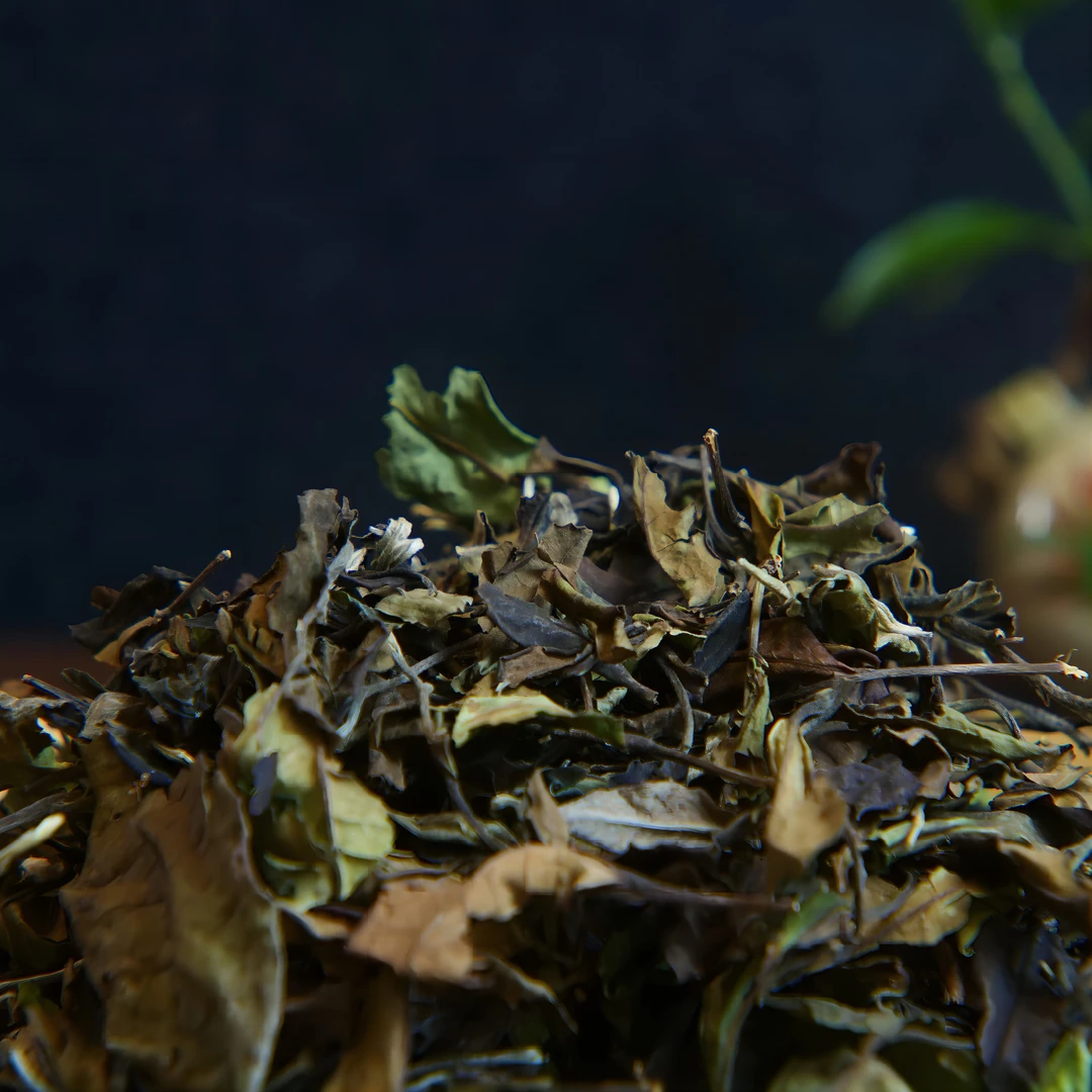 【鸣龙】老陆 滑竹梁子 老白茶 散茶