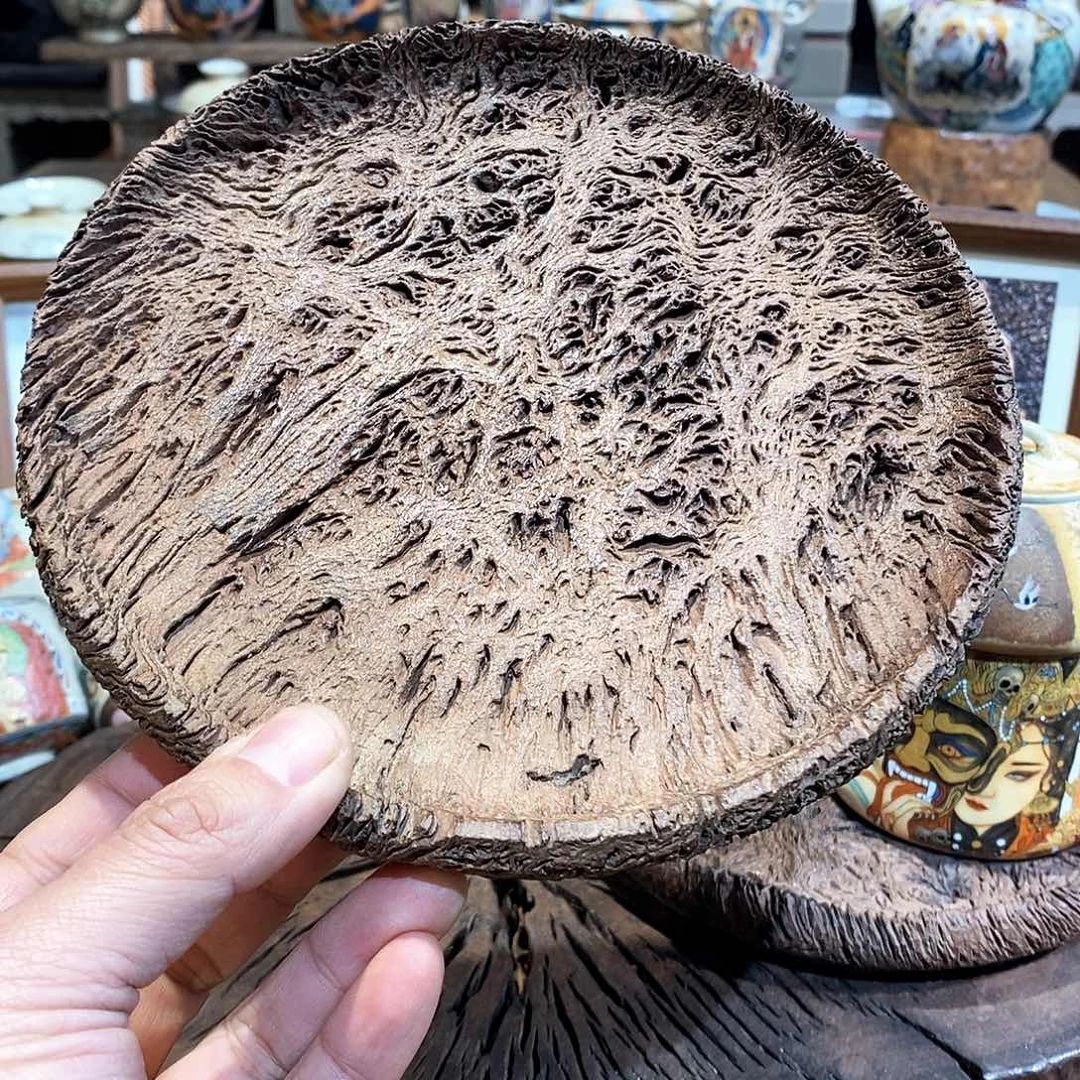 栎木111111111111111111111