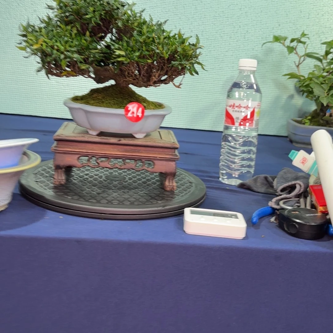 ?****财大棚转让214号包邮