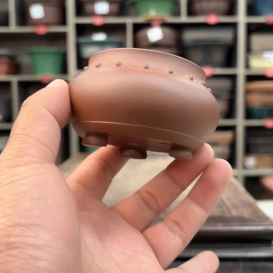 紫砂花盆紫砂的颜色很好看