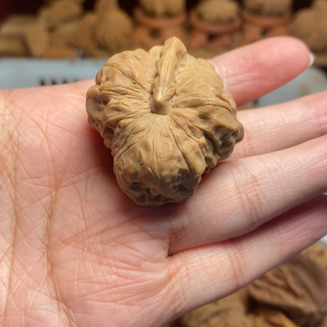 吴***密把件文玩核桃尺寸