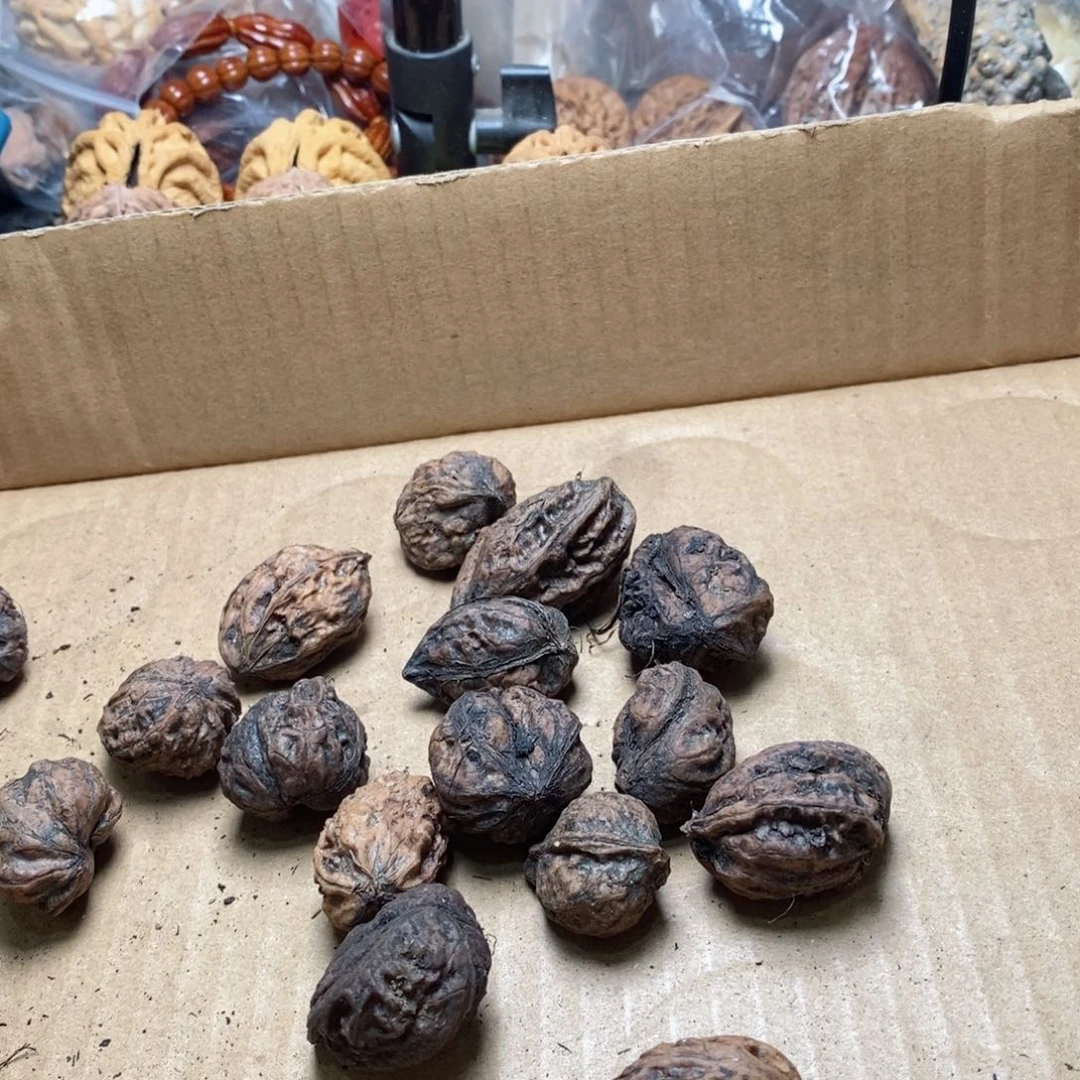 文玩核桃吊坠白*翁核桃11