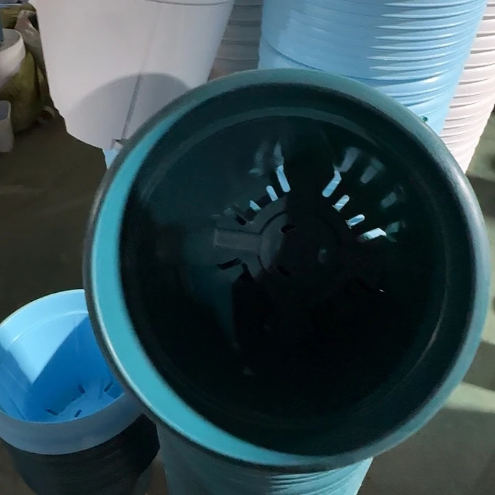 老青山6号军绿无托5个