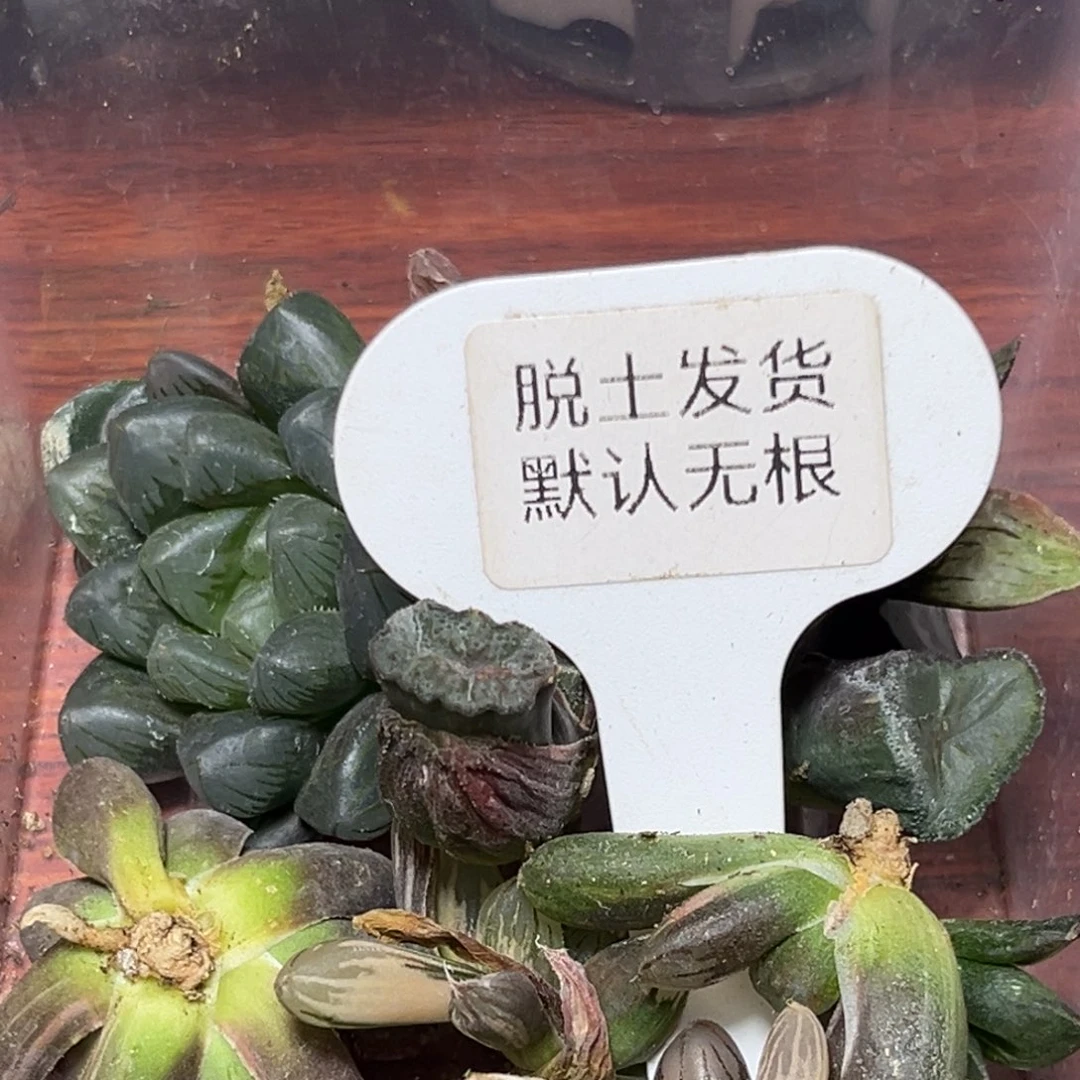 恭喜发财大吉大利986