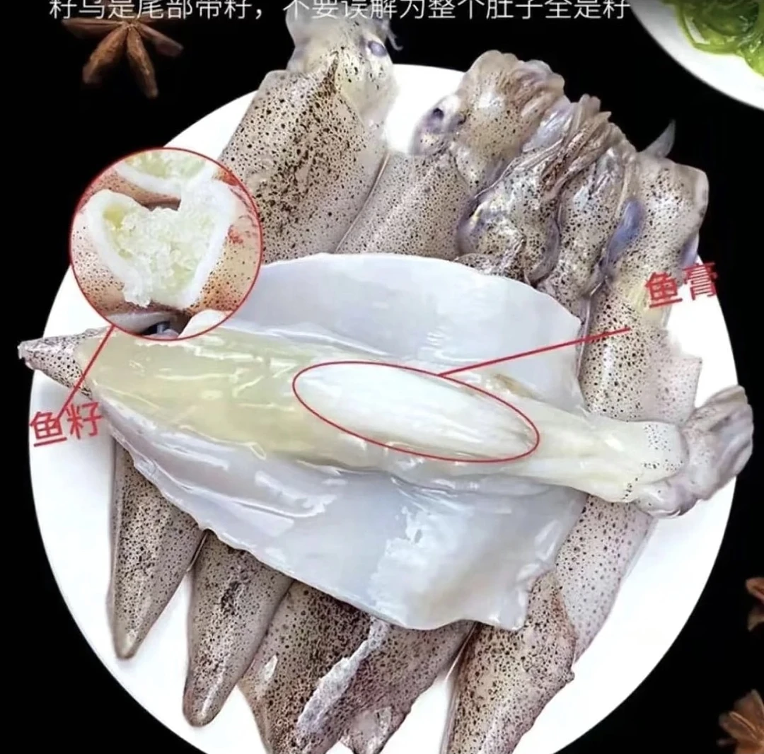 连云港发货  新鲜速冻生鲜母体全籽海兔笔管鱼2斤4斤10斤