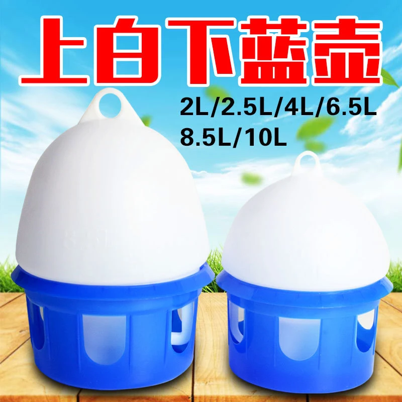 鸽子饮水器粮食器水壶鸽子用品
