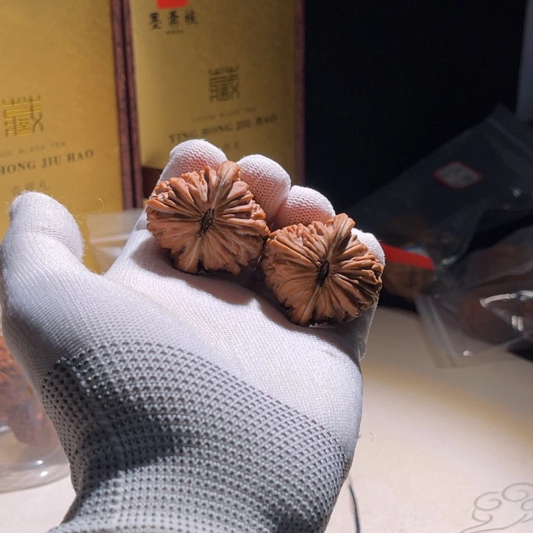 痴***生全品 极品对儿 全品楼子