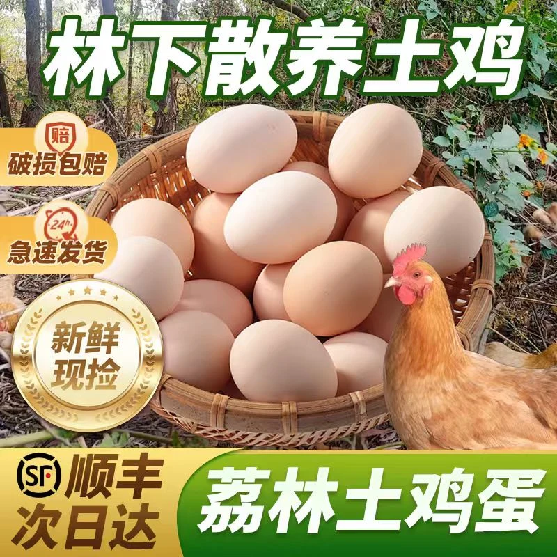 清远山林散养无抗无激素正宗土鸡蛋新鲜美味富含营养无色素农村