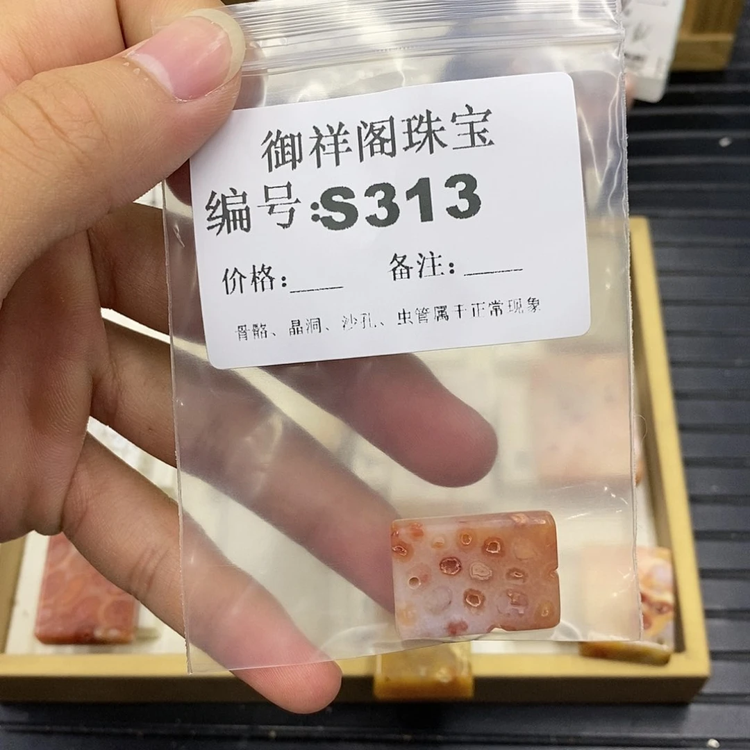 硅化珊瑚（珊瑚玉）未镶嵌颈饰M****o