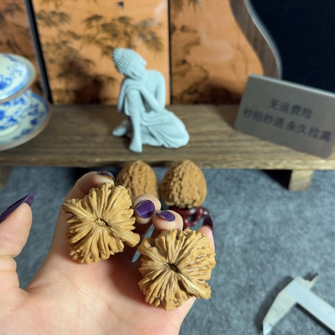 全品44楼子白茬克重48