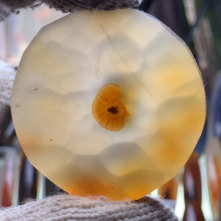 玛瑙/玉髓颈饰未镶嵌197