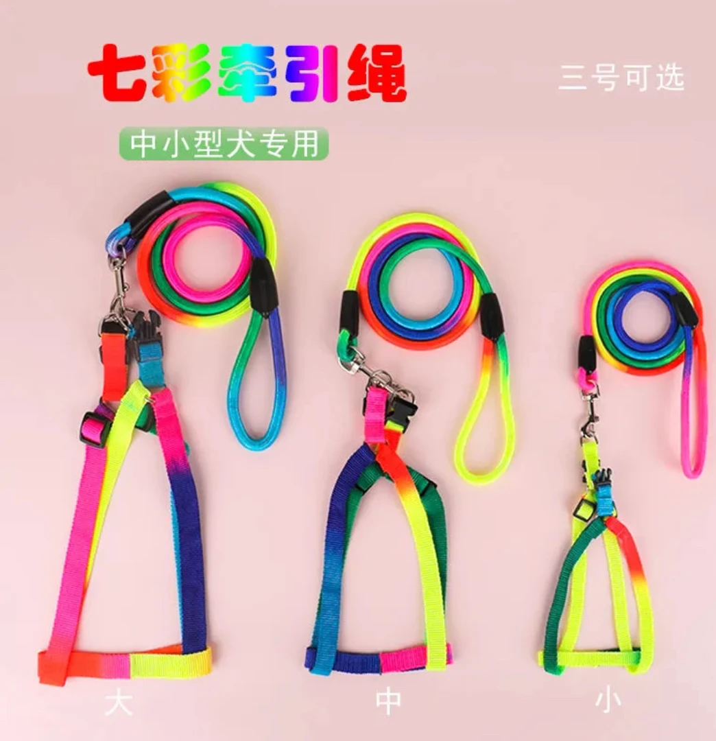 萨摩耶幼犬牵引绳宠物牵引绳