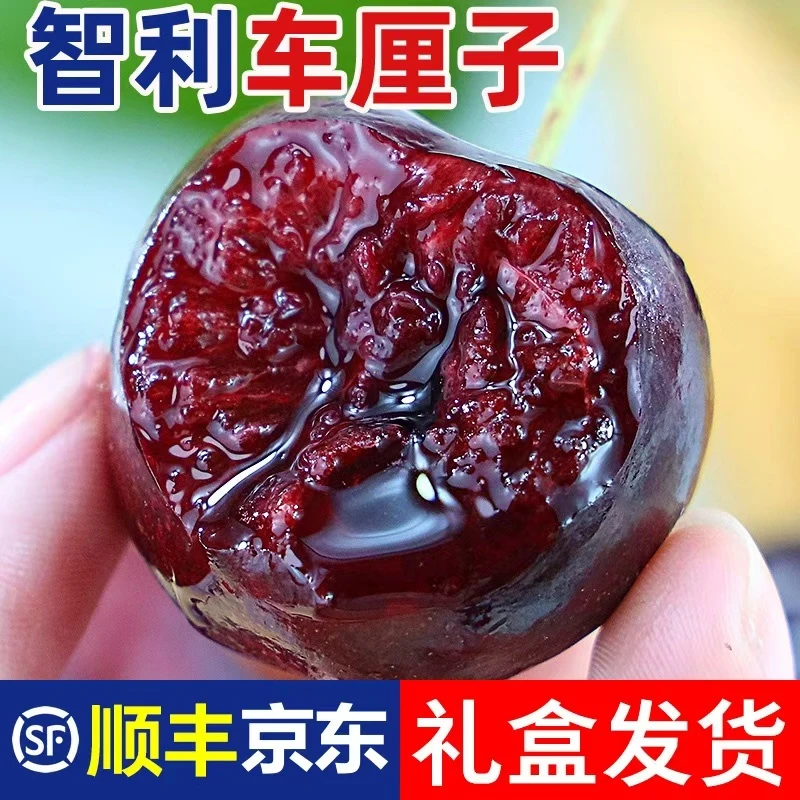 【今天拍明天到】顺丰海运智利桑提娜3J车厘子脆甜内附果径卡