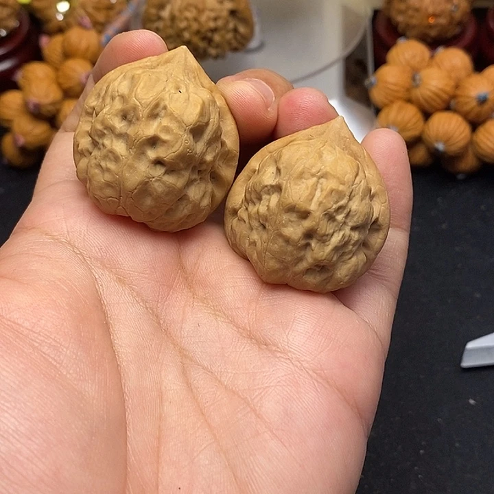 龙脊菩提吊坠古蝉