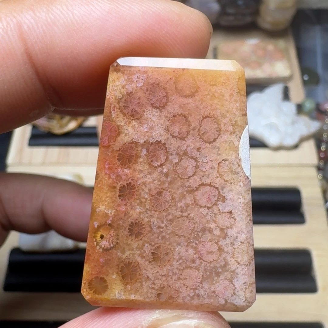 未镶嵌纯天然色有机玉石保真色硅化玉
