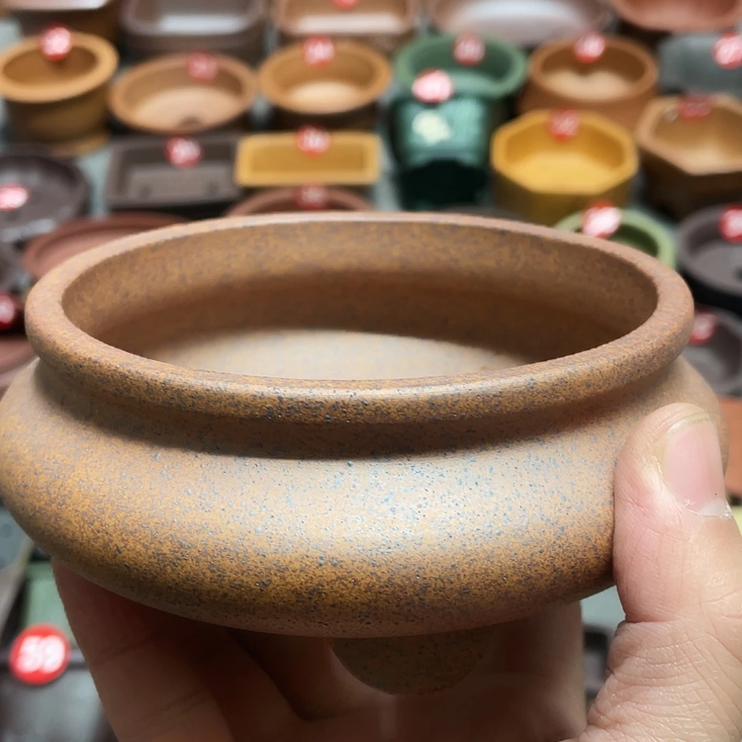 紫砂小盆10.5*4cmmmm