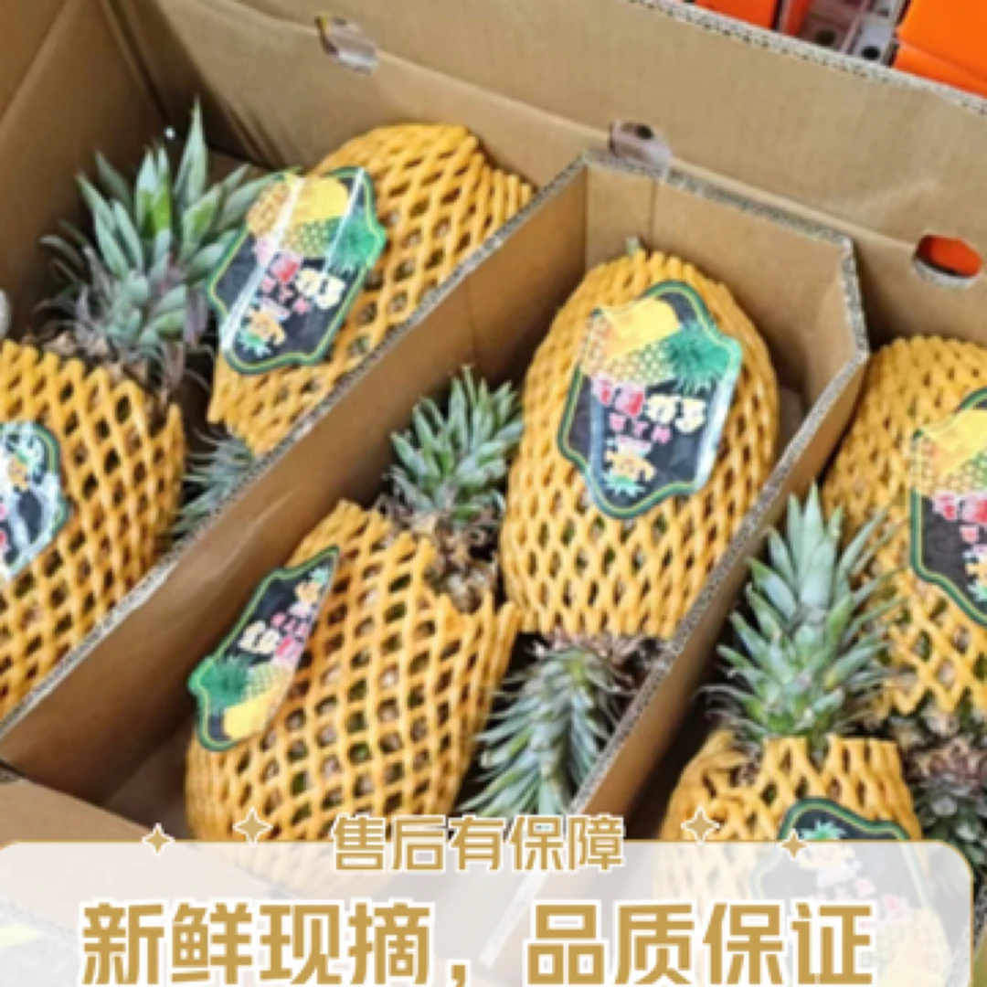 海南凤梨 酸甜可口