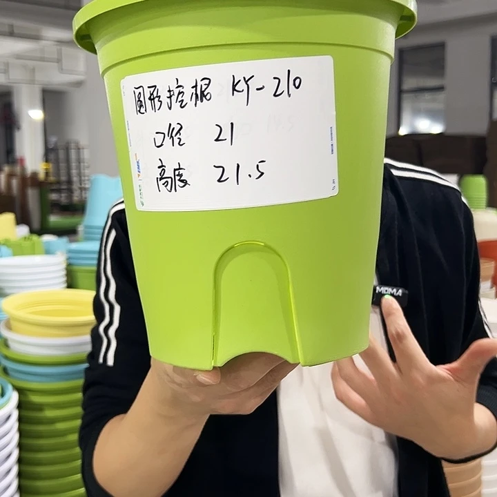 正品圆控口21高21果绿8只无托
