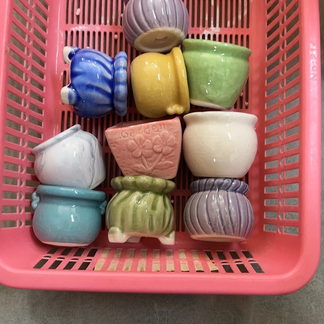 10个福利局绿植多肉盆［凑9元包邮24小时发］