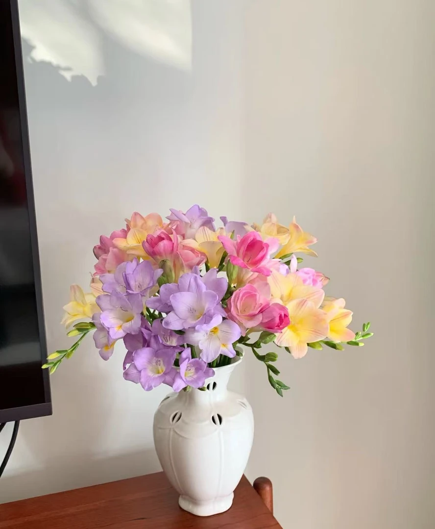 【香雪兰】 香雪兰鲜花 昆明基地直发
